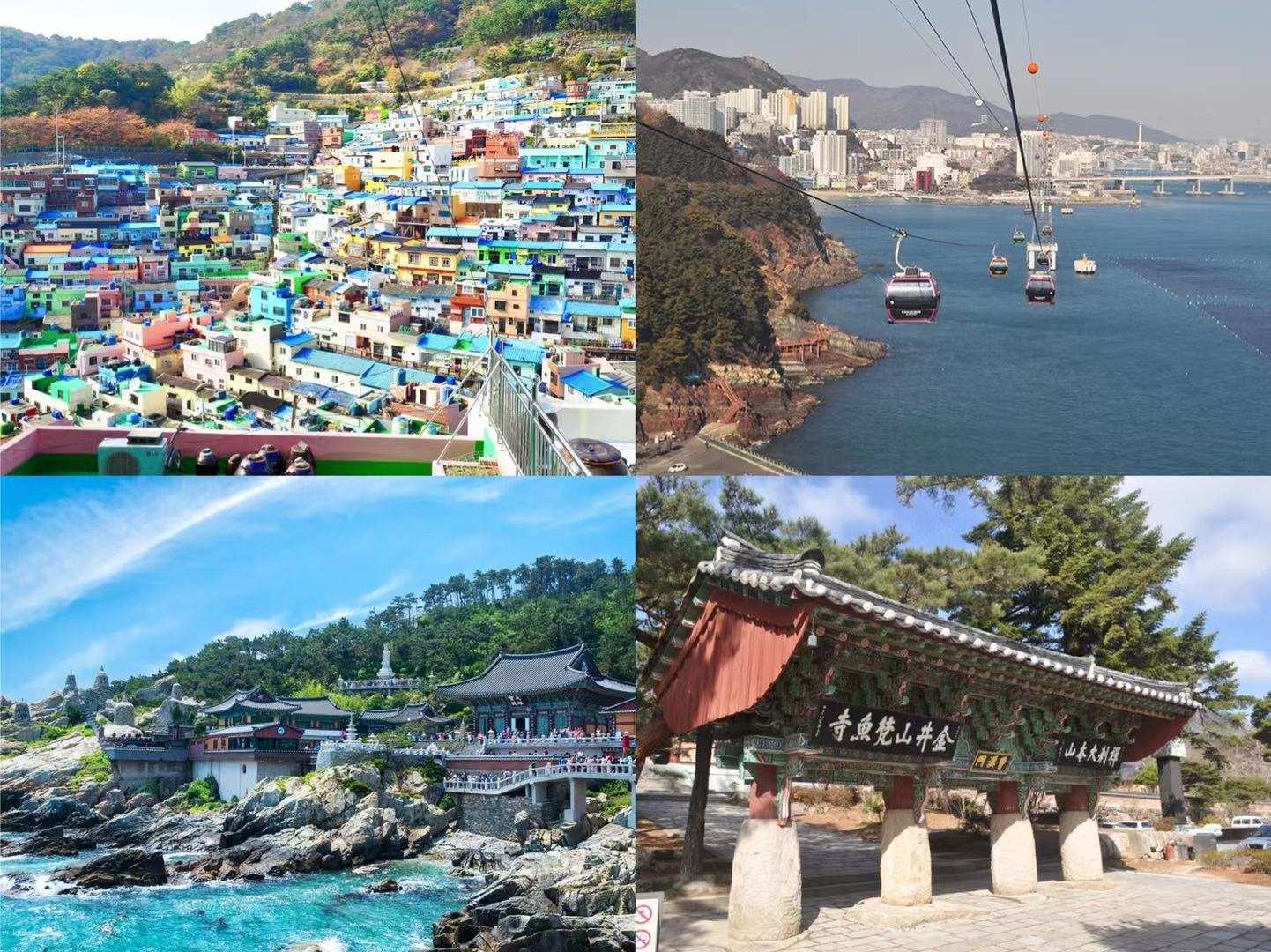 Experience Busan's stunning coastal views colorful streets of Gamcheon Culture Village serene temples and the unique cable car ride—all tailored for your unforgettable adventure.